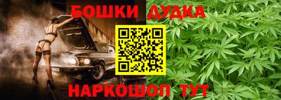 стафф Будённовск