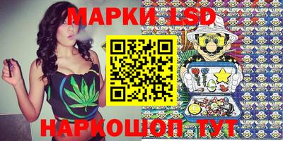 стафф Будённовск