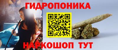 PSILOCYBIN Бугуруслан