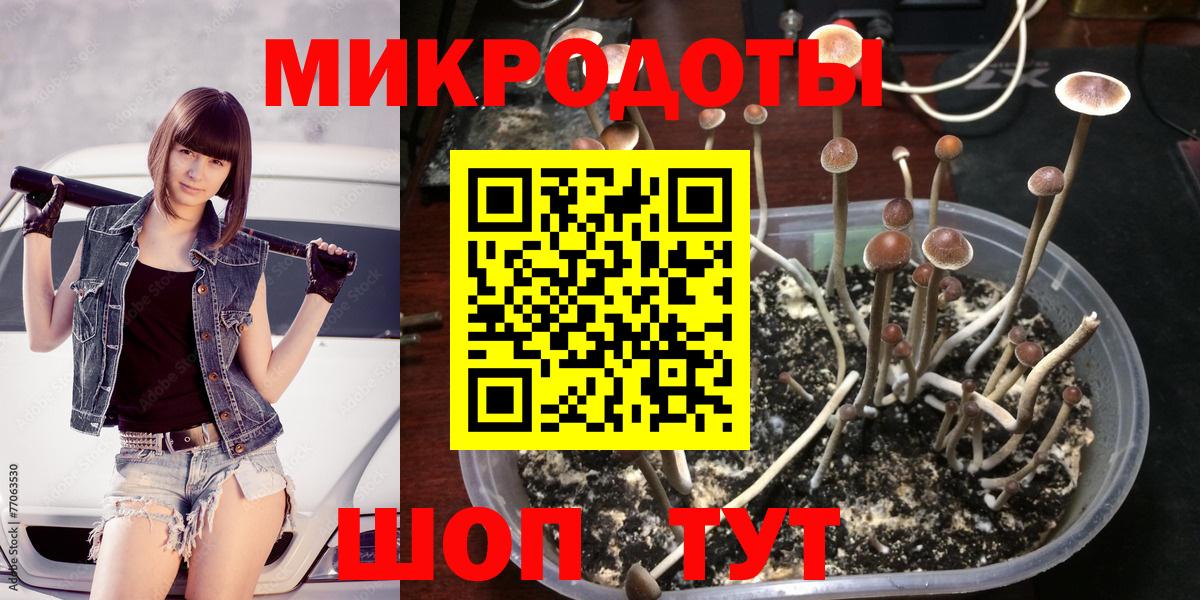 Галлюциногенные грибы MAGIC MUSHROOMS Новокузнецк