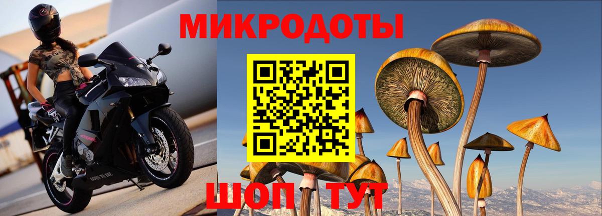Псилоцибиновые грибы мицелий  Вход с VPN  Новокузнецк 
